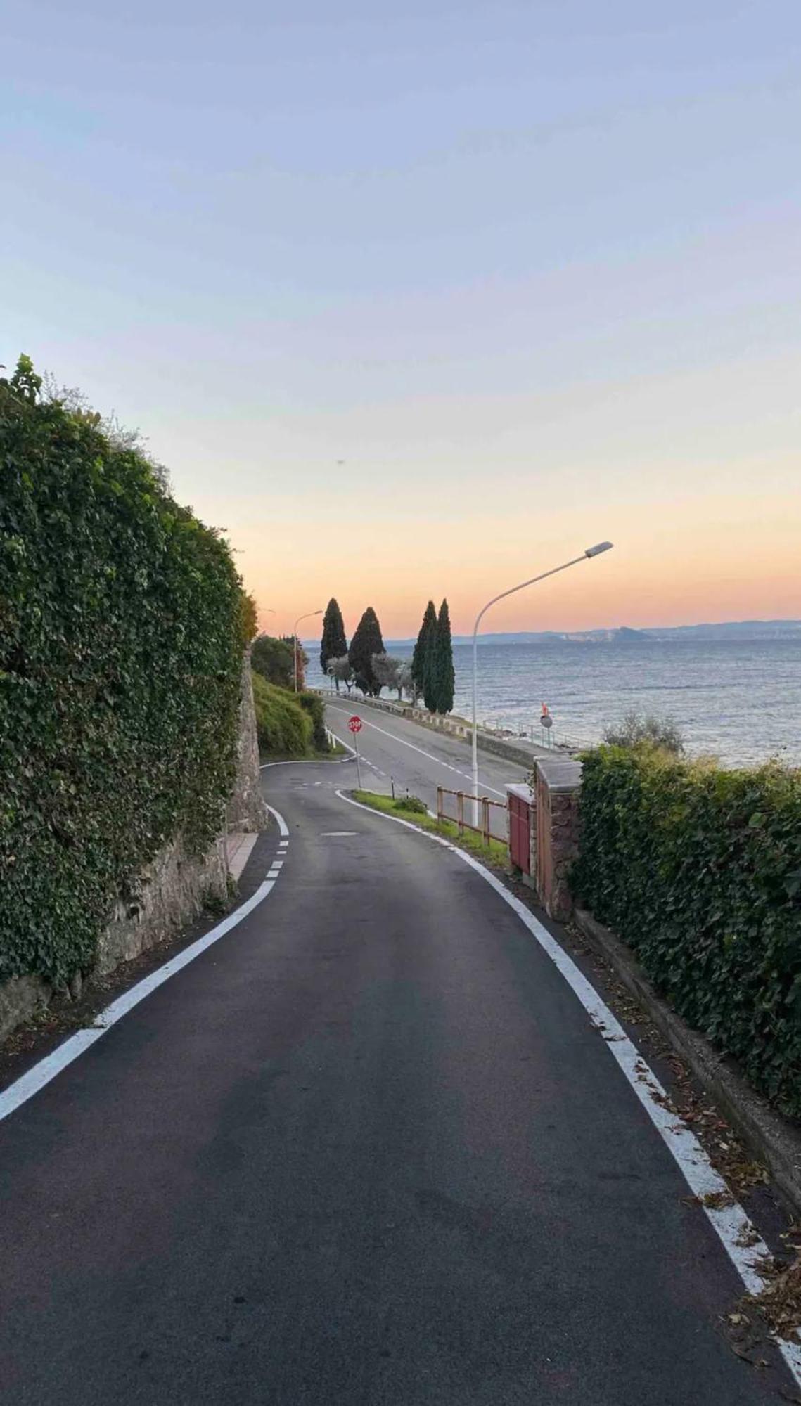 3 Zimmer Apartment Am Gardasee Mit Traumhaften Seeblick Und Pool In Torri Del Benaco Exterior photo